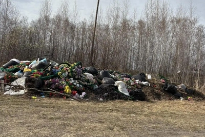 Горожане назвали «мартышкиным трудом» уборку города