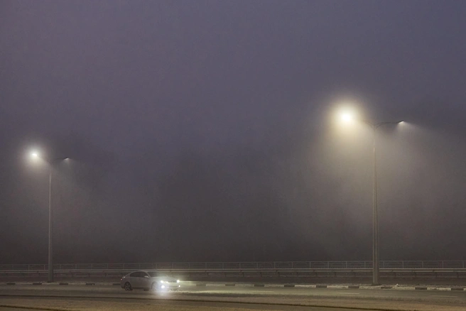 Фото из архива | Источник: Александр Ощепков / NGS.RU