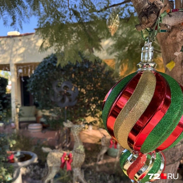 Источник: Читатель 72.RU