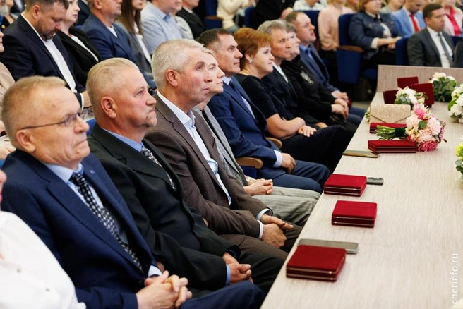 Источник: st.cherinfo.ru