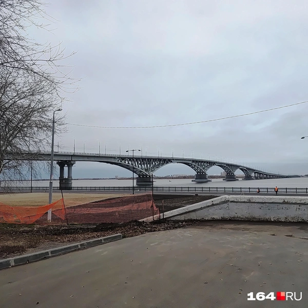 Источник: Сергей Гендин / 164.RU