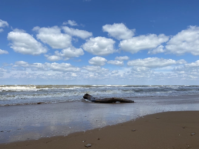 Азовское море, фото из архива | Источник: Валерия Дульская / 93.RU