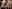 Фото №23 - Лукбук: Agent Provocateur AW2015/16