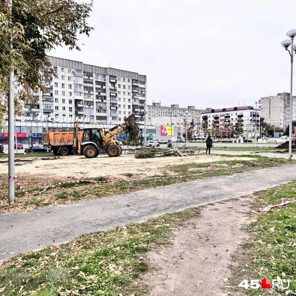 Площадку расчищают для будущего благоустройства и обновления территории сквера | Источник: Юлия Король /45.ru