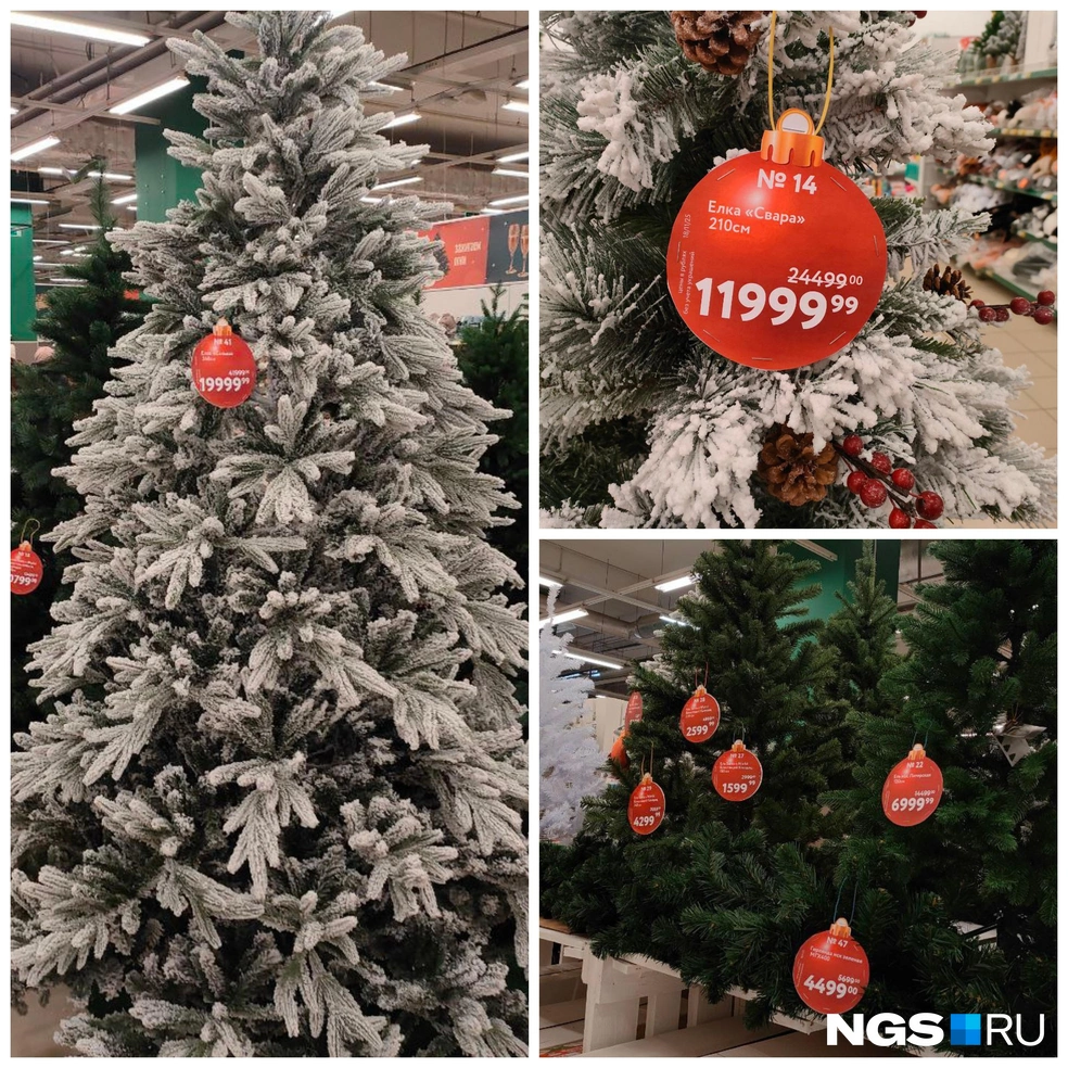 В «О’КЕЙ» большой выбор искусственных ёлок | Источник: Нина Раневская / NGS.RU