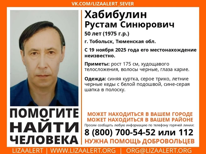 Источник: Лиза Алерт / vk.com