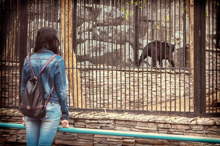 Фото №1 - В Ташкенте женщина бросила в вольер к медведю трехлетнюю дочь