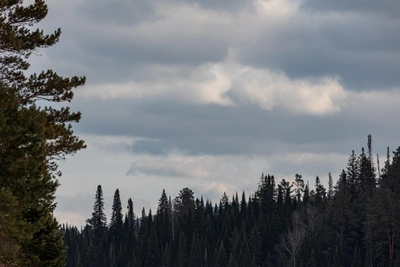 Погода в Тульской области в четверг 16 апреля