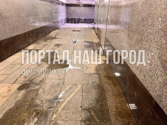 Вода заливает подземный переход | Источник: gorod.mos.ru