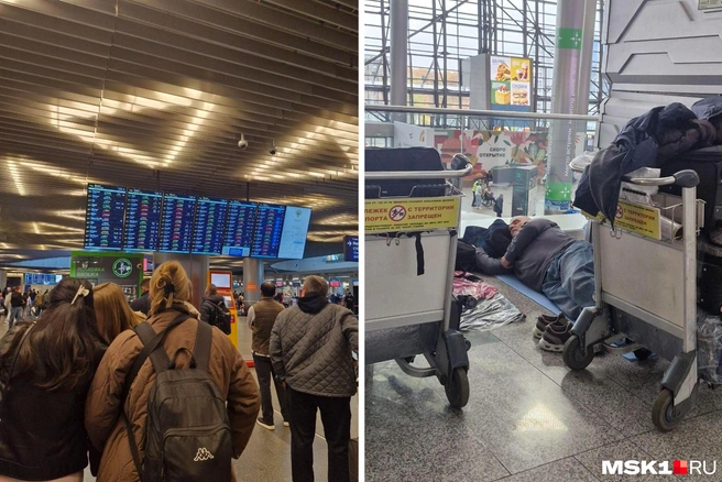 Более 230 рейсов задержаны или отменены в московских аэропортах | Источник: Софья Рябикина / MSK1.RU