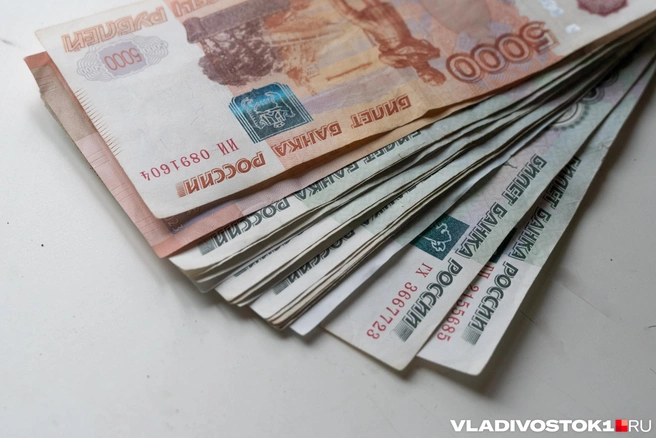 В отношении посредника и директора организации, подкупившей сотрудника, проводят расследование | Источник: Елена Буйвол / VLADIVOSTOK1.RU