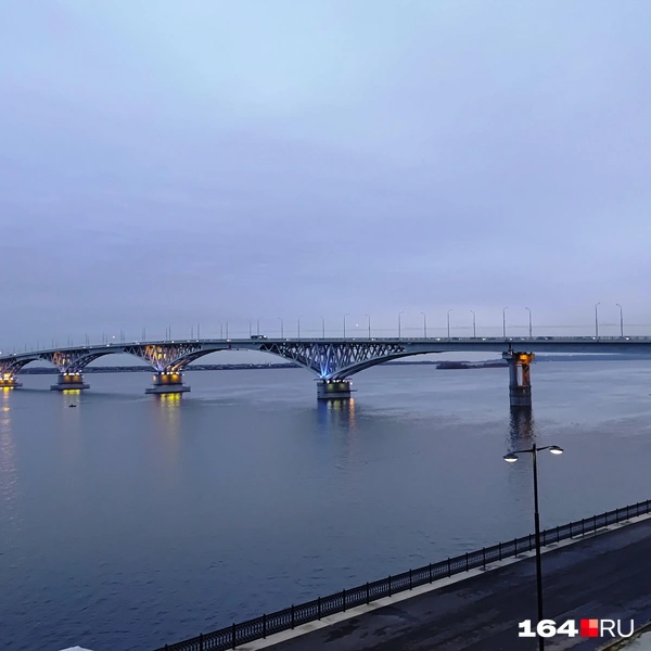 Источник: Сергей Гендин / 164.RU