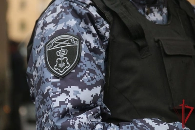 Росгвардейцы в Пскове задержали подозреваемого в краже