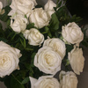userpic__Z07052010