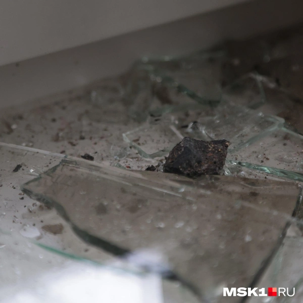 Источник: Дмитрий Толстошеев / MSK1.RU