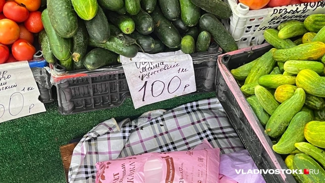 Источник: Елена Буйвол / VLADIVOSTOK1.RU