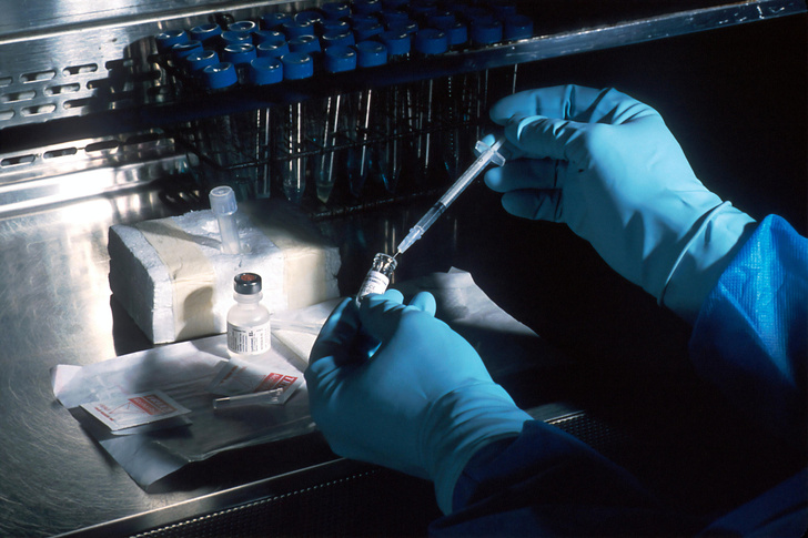 В НМИЦ гематологии назвали стоимость теста на Т-клеточный иммунитет