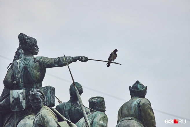 Ворона-экскурсовод на памятнике Василию Чапаеву | Источник: Роман Данилкин / 63.RU