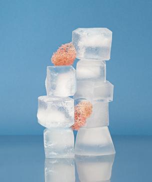 Для чего в холодильнике должны быть кубики для льда: 7 причин, о которых вы даже не задумывались