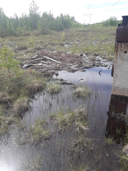 Так выглядит сейчас место авиакатастрофы | Источник: Роман Подгорбунских