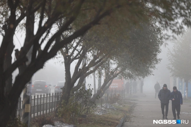 Почитайте наши самые лучшие тексты этой недели | Источник: Евгений Софийчук / NGS55.RU