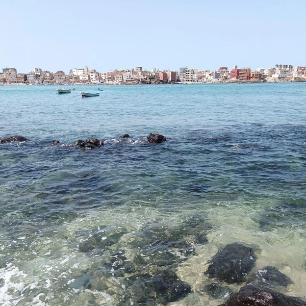 Источник: Николай Михалев