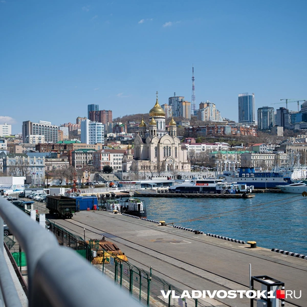 Источник: Елена Буйвол / VLADIVOSTOK1.RU