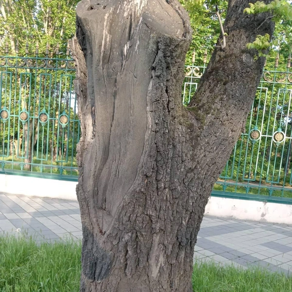 Источник: Департамент городского хозяйства и ТЭК Краснодара