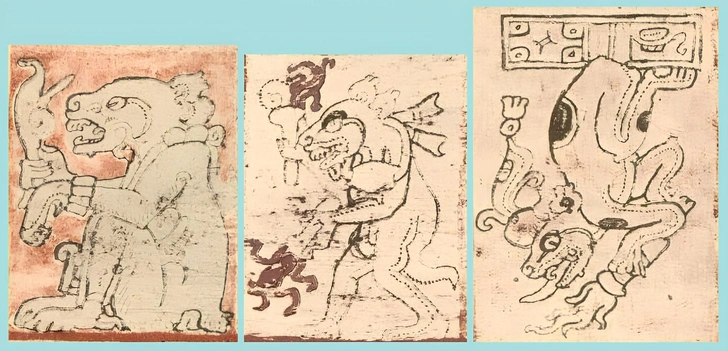 Изображение собаки из Дрезденского кодекса — рукописи майя. В мифологии майя Ксолотль был репрезентирован в виде собаки | Источник: Wikimedia Commons 