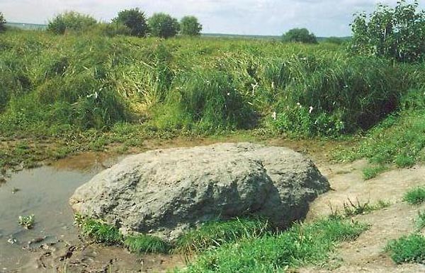 Волшебные следы на мягких камнях