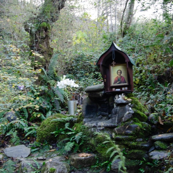 Место обустроено красиво | Источник: Оксана Витязь / SOCHI1.RU