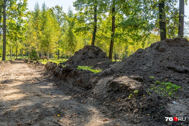 Осенью начали работы в парке. Сейчас вся территория перекопана | Источник: Кирилл Поверинов / 76.RU