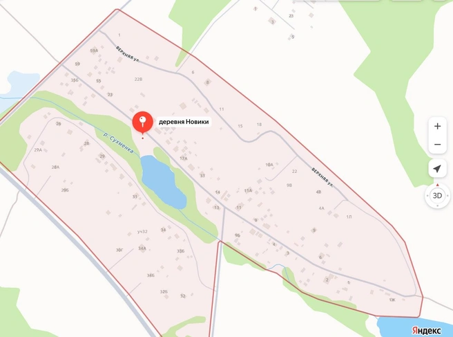Со слов местных жителей, загрязнен пруд в деревне Новики Серпуховского округа | Источник: «Яндекс Карты»
