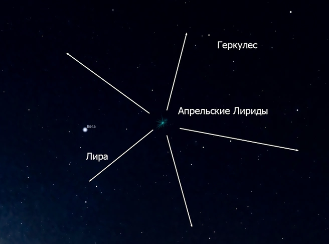 Метеоры Лирид разлетаются из точки рядом с яркой звездой Вега в созвездии Лиры. Эта точка называется радиантом — именно в ее сторону стоит смотреть в ночь на 22 апреля | Источник: sibsau.ru