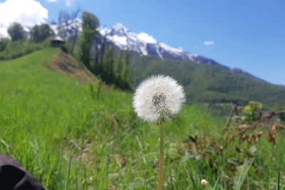 Сочинские курорты вводят обязательный пропуск в нацпарк