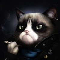 Аватарка Пузатый Кошак