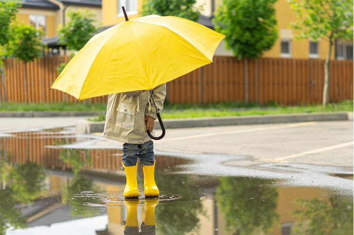 Где купить детский зонтик: 12 вариантов — с ушками, драконами, и со свистком