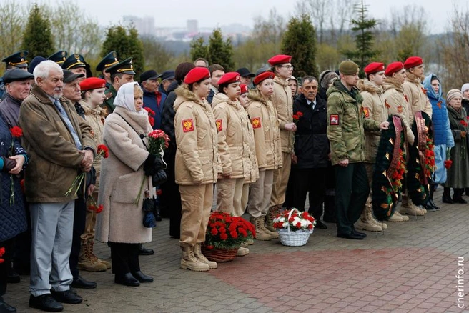 Источник: st.cherinfo.ru