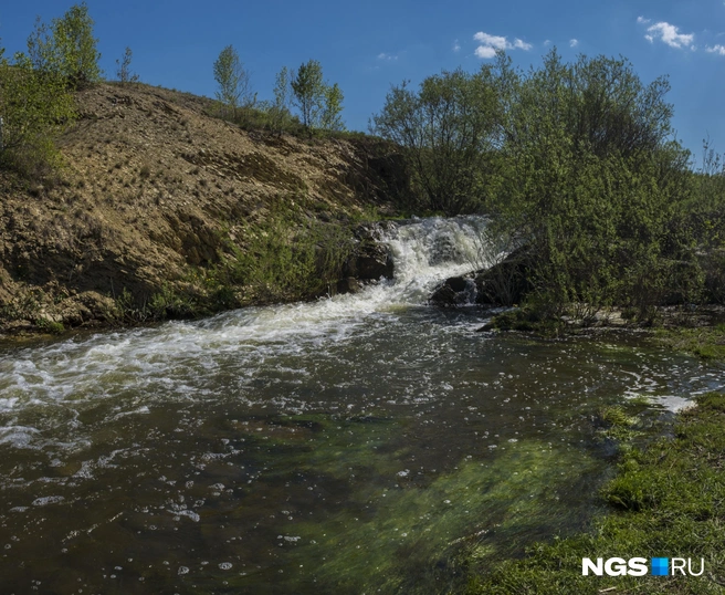 Туристы говорят, что здесь чистая вода, но на полянах часто бывает мусор | Источник: Татьяна Фатеева