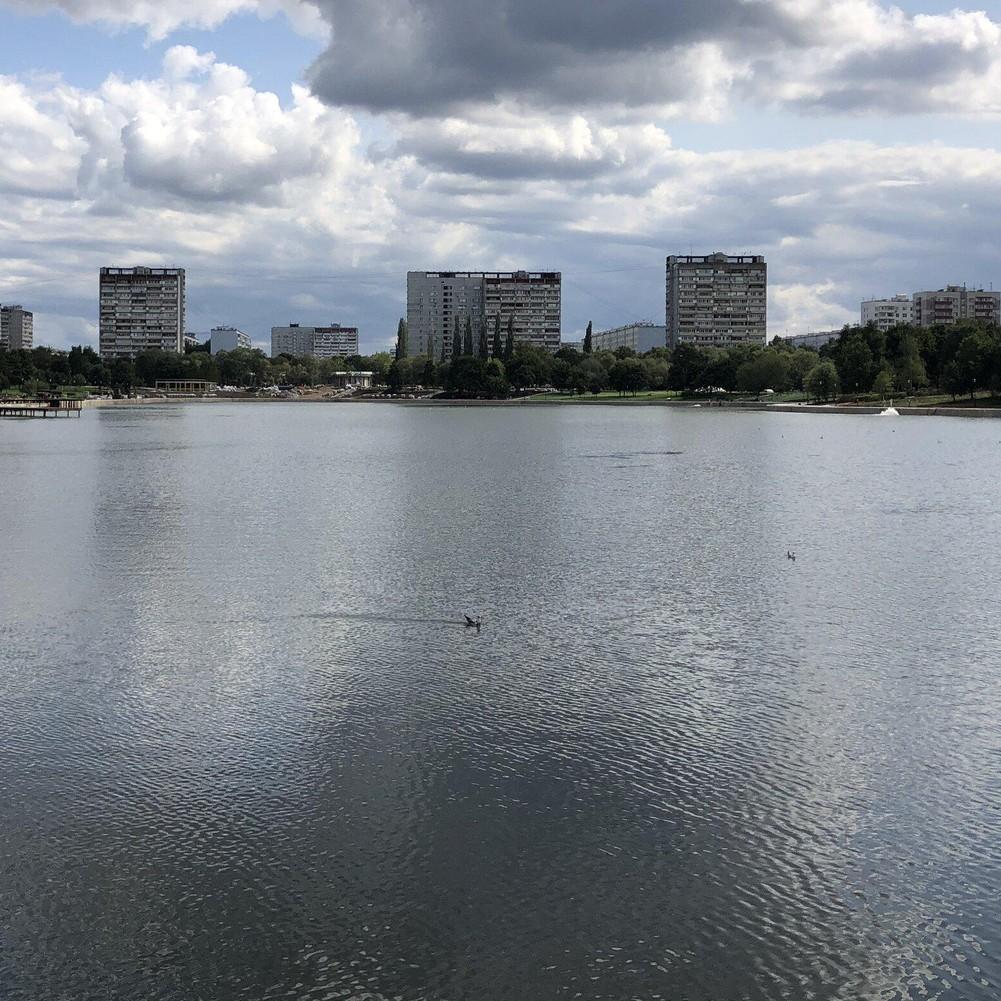 В Гольяновском пруду в Москве нашли пакет с головой 10-летнего школьника: подробности убийства