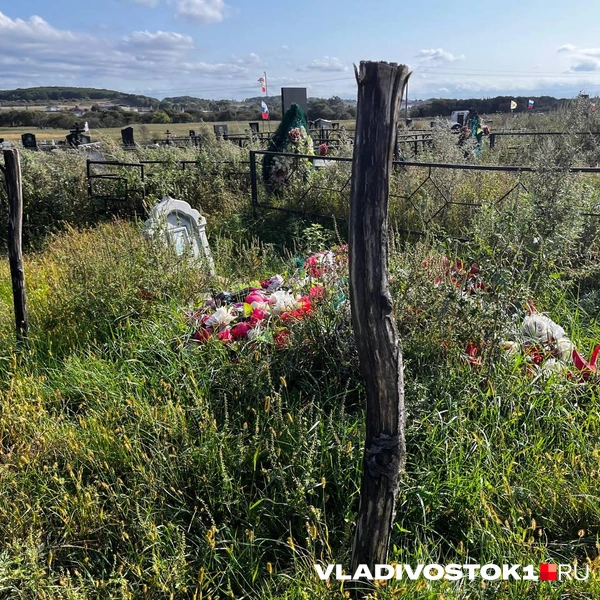 Источник: Елена Буйвол / VLADIVOSTOK1.RU