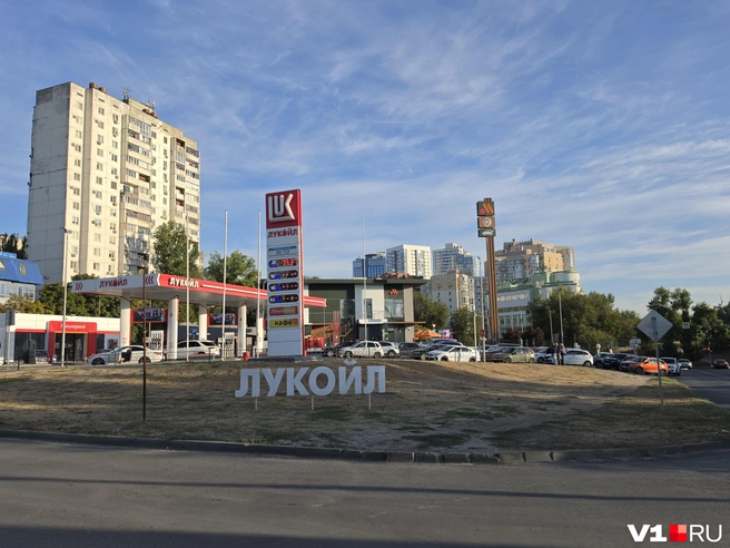 Чиновники говорят о «корректировке логистики поставок» и уверяют, что ведут наблюдение | Источник: Константин Завриков / V1.RU