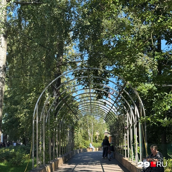 Источник: Валерия Богатырёва / 29.RU