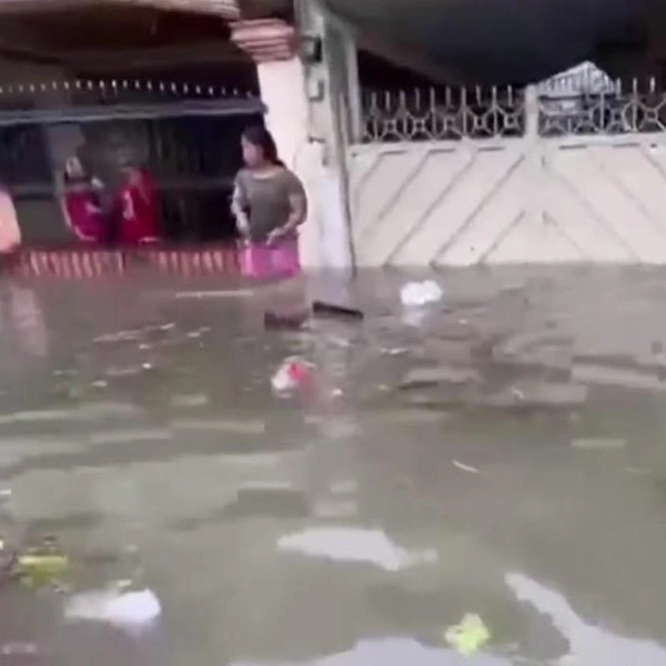 Источник: WION / YouTube