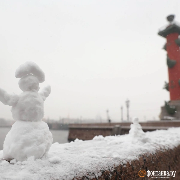 Источник: Сергей Михайличенко / «Фонтанка.ру»