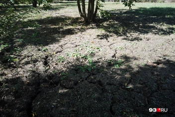 Земля трескается из-за движения грунта  | Источник: Дарья Паращенко / 93.RU