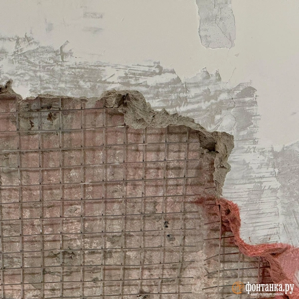 Источник: Марина Мамонтова/«Фонтанка.ру»