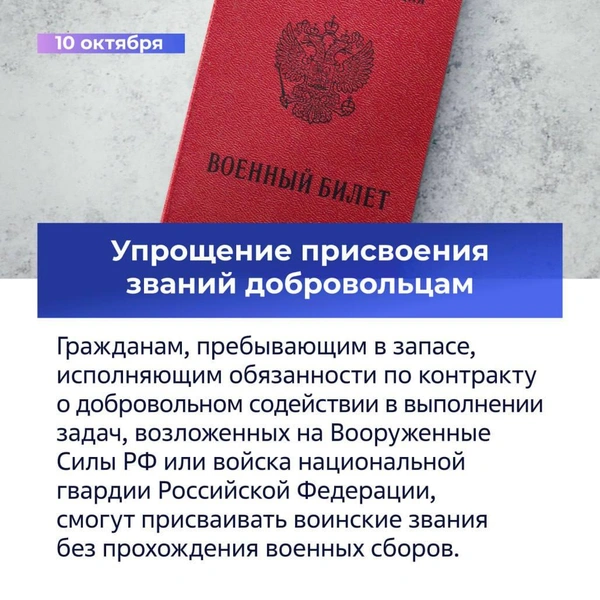 Володин рассказал о законах, вступающих в силу в октябре  | Источник: Официальный канал Государственной Думы.