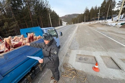В Забайкалье пресечены незаконные перевозки скота и мяса