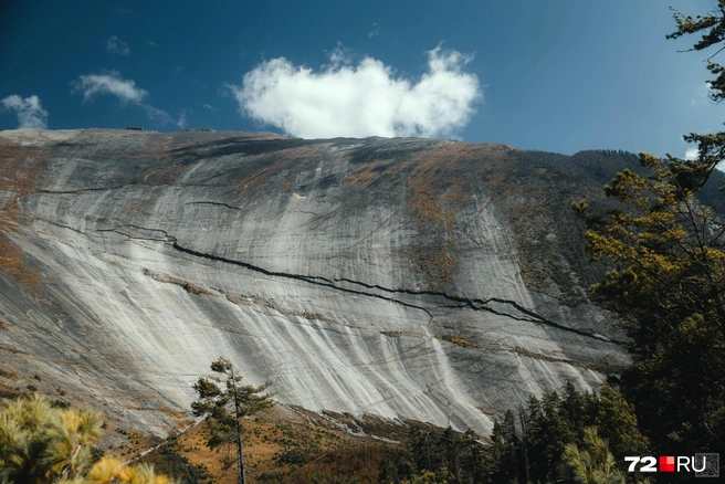 Источник: Екатерина Бурко